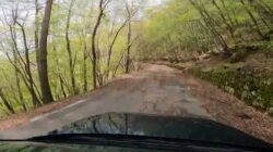 Rally Palme 2025 - PS 4; PS 6: Ghimbegna-San Romolo